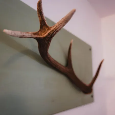 Apartment Brandegg *