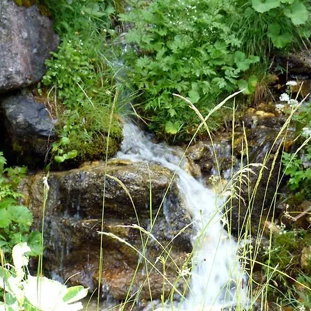 Apartment Brandegg *