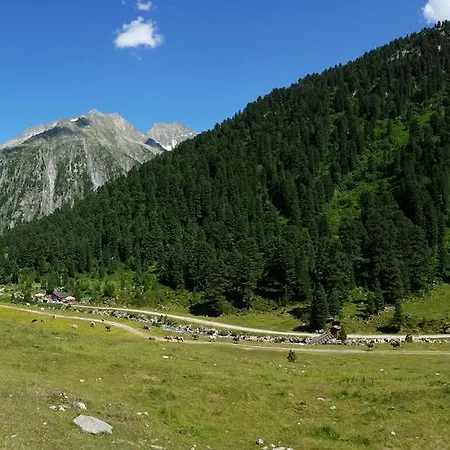 Lejlighed Brandegg Tux