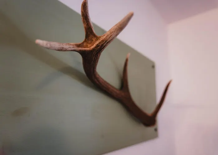 Apartment Brandegg *