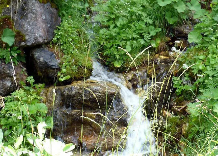 Apartment Brandegg *