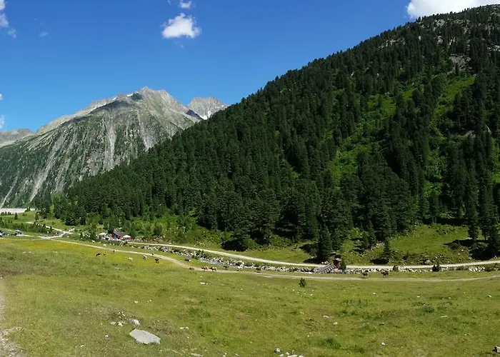 Apartment Brandegg Tux